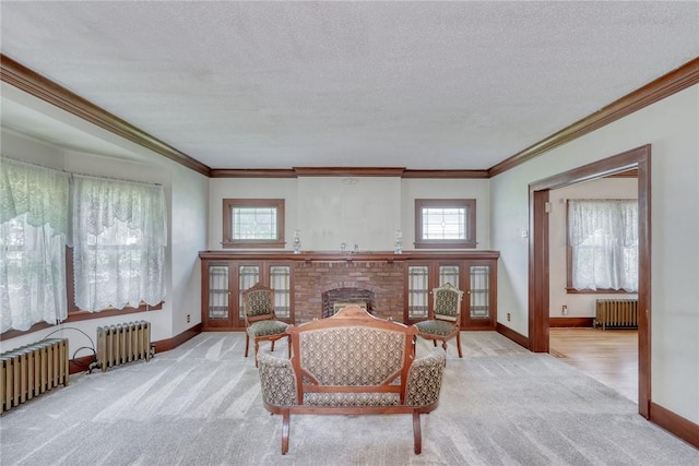 112 Isabelle St, Rochester, NY 14606 - carpeted living area featuring radiator, crown molding, a fireplace, and a textured ceiling