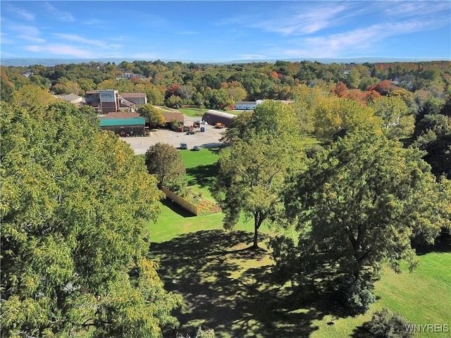 Chestnut St, Perry, NY 14530 - photo 6
