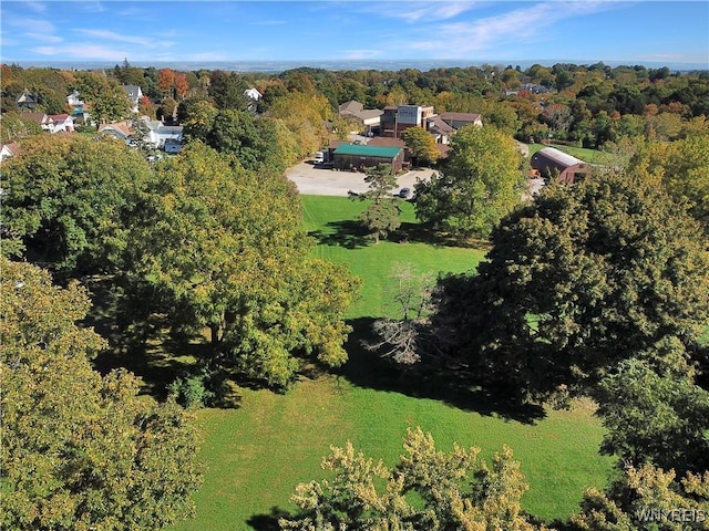 Chestnut St, Perry, NY 14530 - photo 7