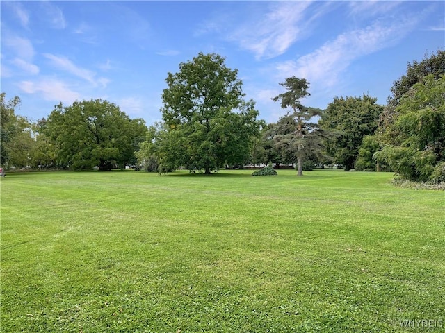 Chestnut St, Perry, NY 14530 - photo 8