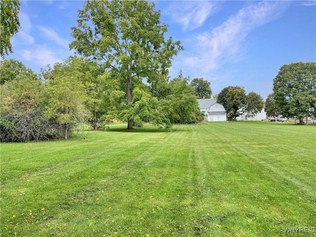 Chestnut St, Perry, NY 14530 - photo 13
