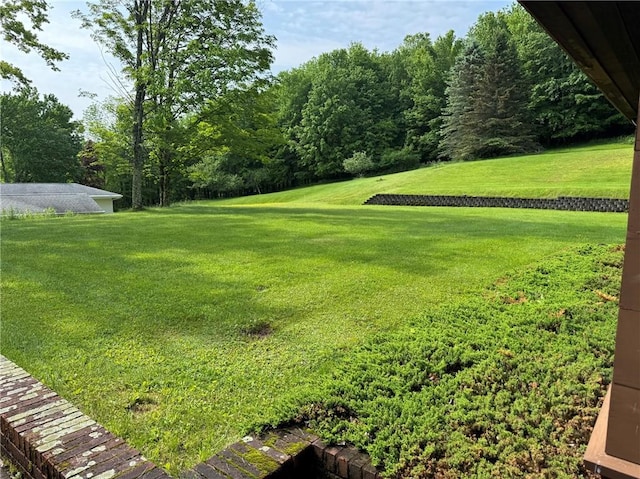 56 St Michaels Pl, Kortright, NY 13842 - photo 16