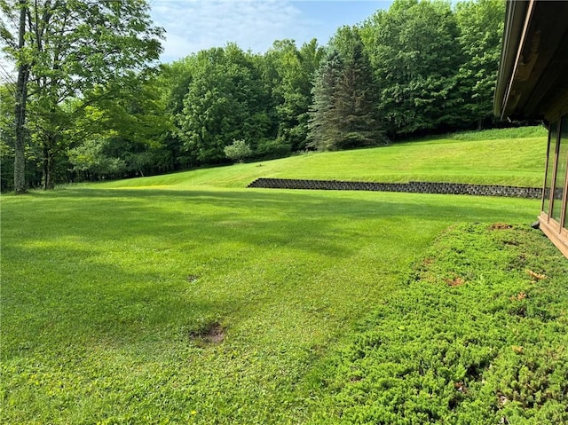 56 St Michaels Pl, Kortright, NY 13842 - photo 18