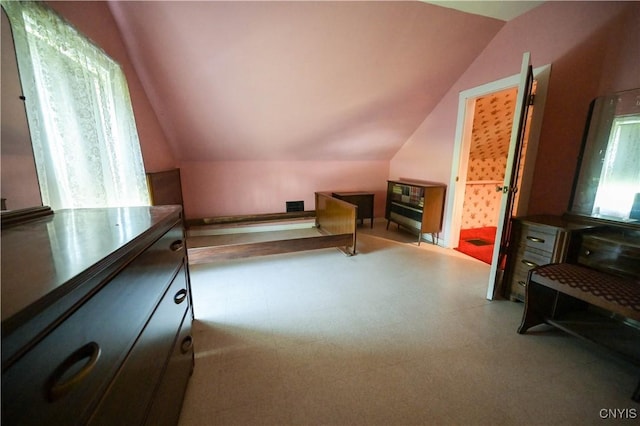202 County Highway 25a, Richfield, NY 13439 - additional living space with lofted ceiling and carpet floors