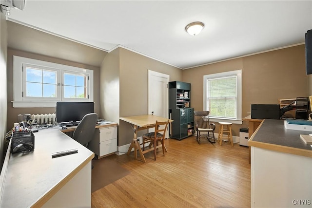 306 Berkeley Dr, Syracuse, NY 13210 - office area with light wood-style flooring, healthy amount of natural light, radiator, and ornamental molding