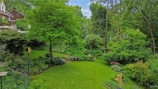 306 Berkeley Dr, Syracuse, NY 13210 - view of grassy yard
