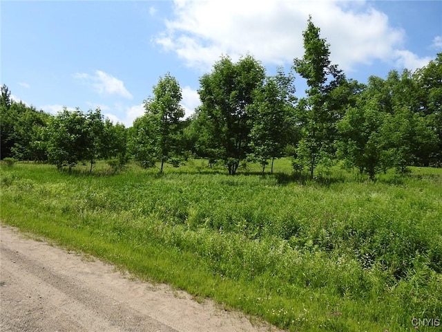 8227 Freeman Rd, Boonville, NY 13309 - photo 18
