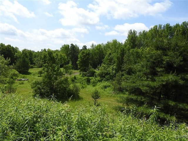 8227 Freeman Rd, Boonville, NY 13309 - photo 22
