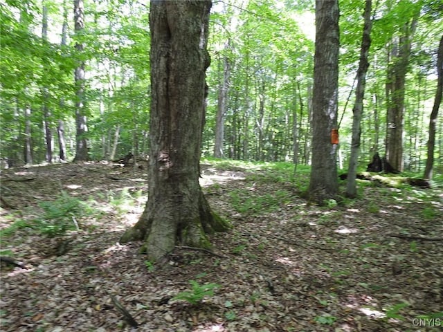 8227 Freeman Rd, Boonville, NY 13309 - photo 24