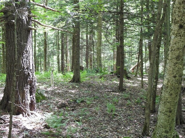 8227 Freeman Rd, Boonville, NY 13309 - photo 25