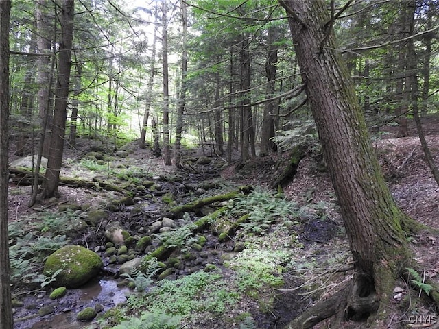 8227 Freeman Rd, Boonville, NY 13309 - photo 26