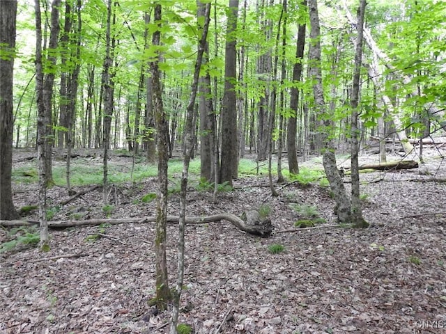 8227 Freeman Rd, Boonville, NY 13309 - photo 29