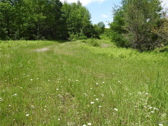 8227 Freeman Rd, Boonville, NY 13309 - photo 33