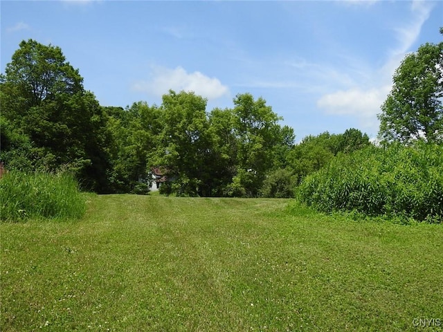 8227 Freeman Rd, Boonville, NY 13309 - photo 36