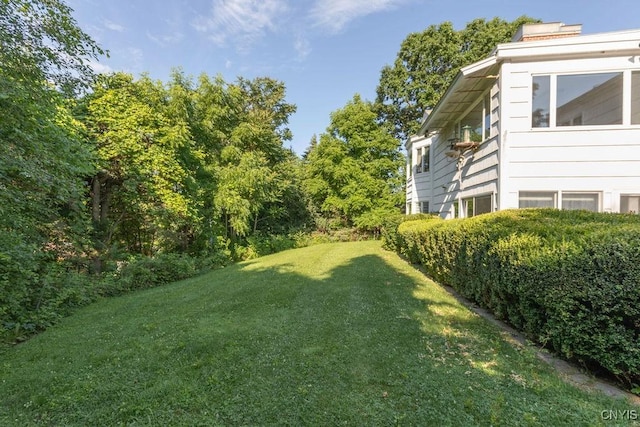 20 Cross Rd, Dewitt, NY 13224 - view of green lawn