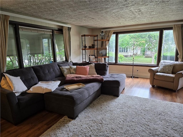 211 Steko Ave, Rochester, NY 14615 - living room with wood finished floors and a textured ceiling