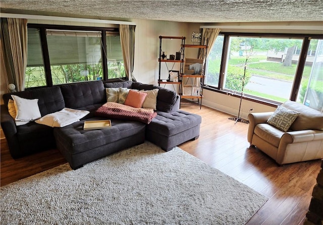 211 Steko Ave, Rochester, NY 14615 - living area featuring hardwood / wood-style floors and a textured ceiling