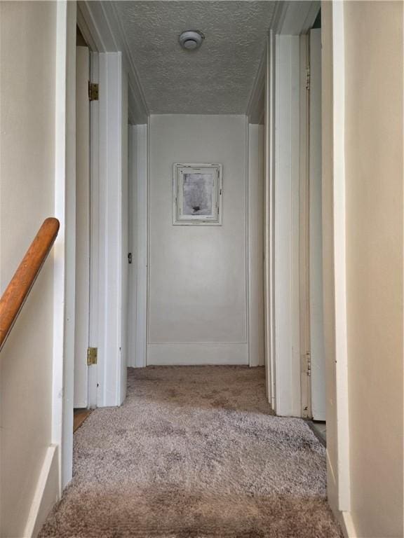 211 Steko Ave, Rochester, NY 14615 - hallway with carpet and a textured ceiling