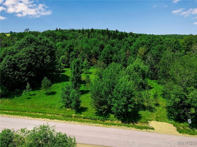 00 Snake Run Rd, East Otto, NY 14729