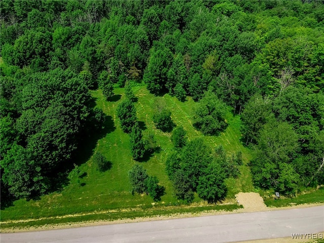 00 Snake Run Rd, East Otto, NY 14729