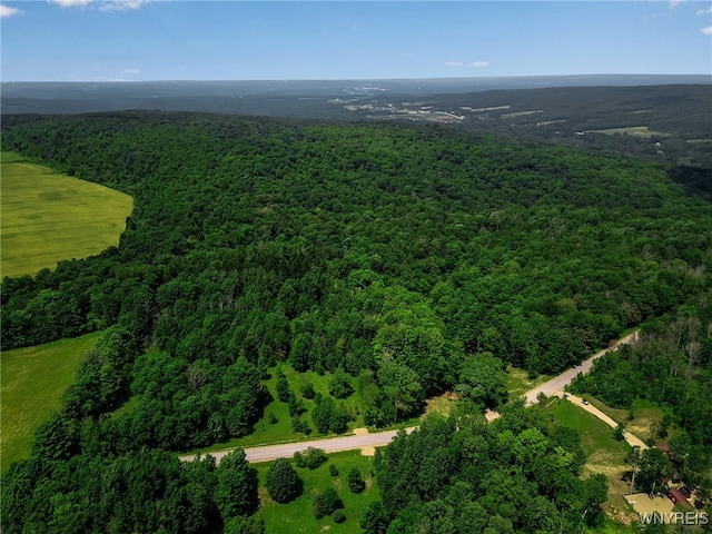 00 Snake Run Rd, East Otto, NY 14729