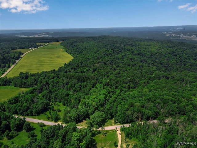 00 Snake Run Rd, East Otto, NY 14729