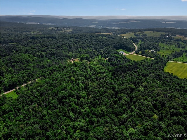 00 Snake Run Rd, East Otto, NY 14729