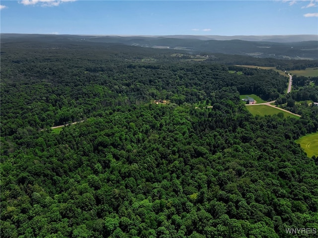 00 Snake Run Rd, East Otto, NY 14729