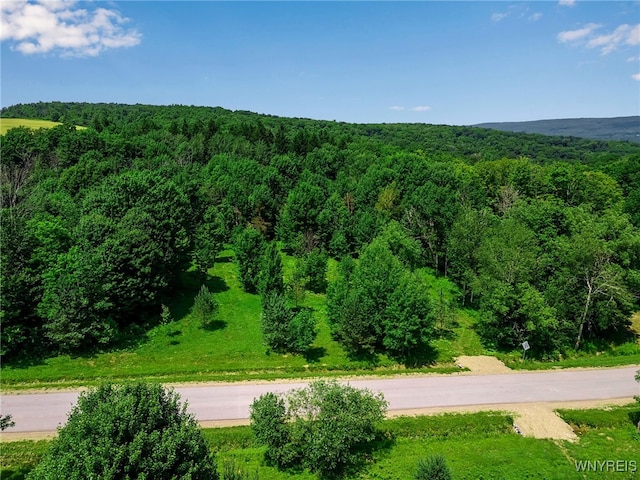00 Snake Run Rd, East Otto, NY 14729