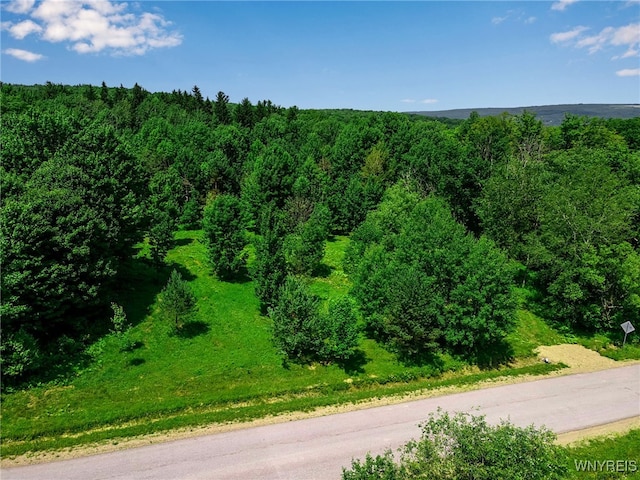 00 Snake Run Rd, East Otto, NY 14729