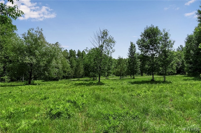 00 Snake Run Rd, East Otto, NY 14729