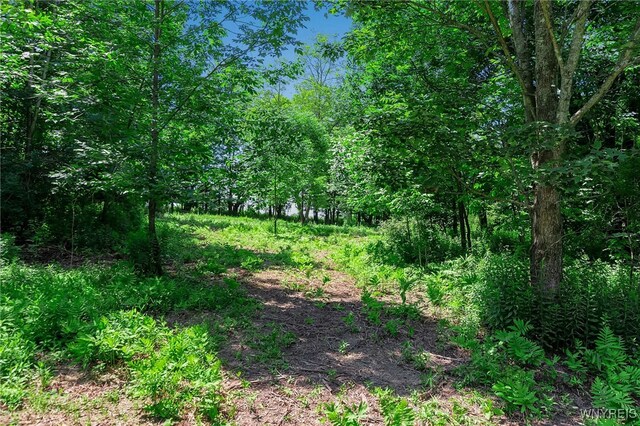 00 Snake Run Rd, East Otto, NY 14729