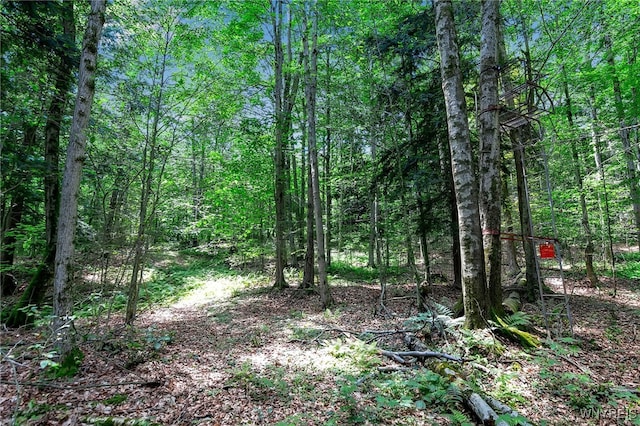 00 Snake Run Rd, East Otto, NY 14729
