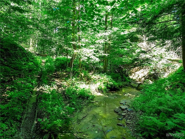 00 Snake Run Rd, East Otto, NY 14729