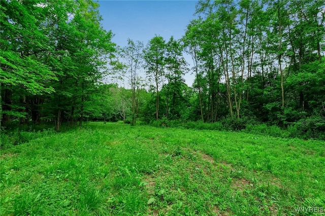 00 Snake Run Rd, East Otto, NY 14729
