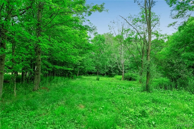 00 Snake Run Rd, East Otto, NY 14729