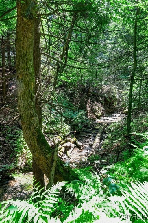 00 Snake Run Rd, East Otto, NY 14729