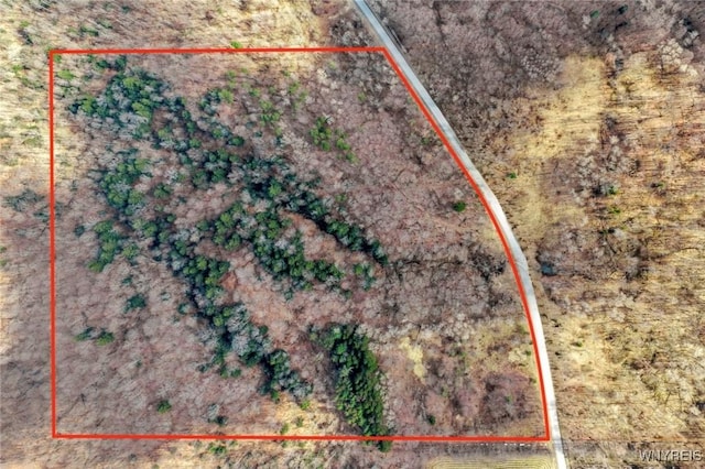 00 Snake Run Rd, East Otto, NY 14729