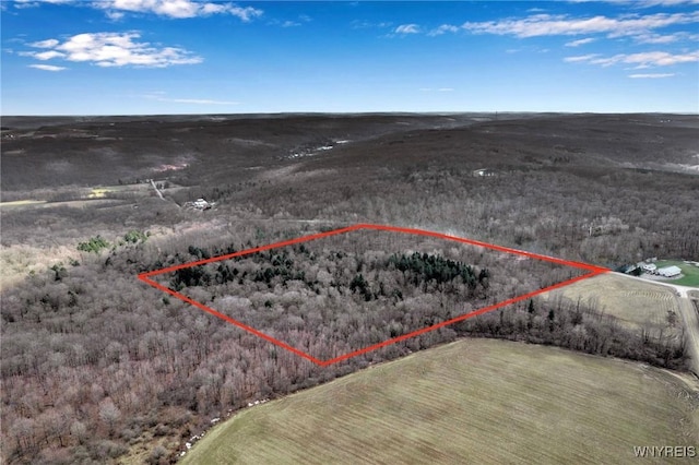 00 Snake Run Rd, East Otto, NY 14729