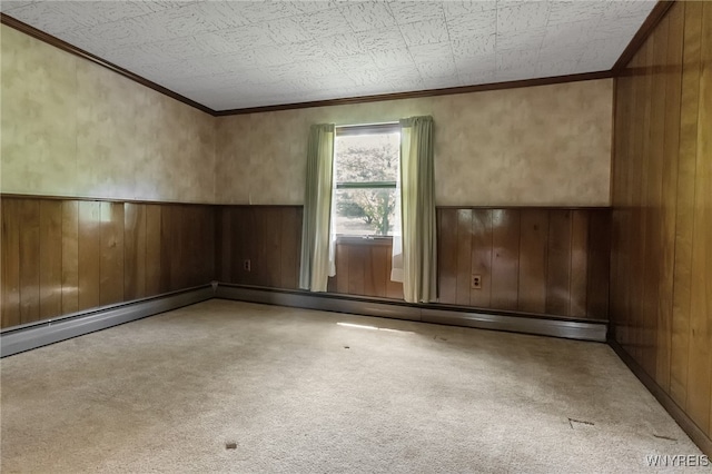 1520 Davis Rd, Aurora, NY 14170 - carpeted empty room featuring ornamental molding, wood walls, and wainscoting