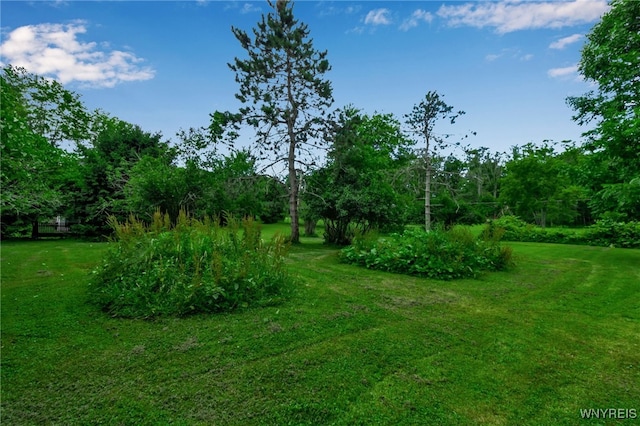 1520 Davis Rd, Aurora, NY 14170 - view of grassy yard