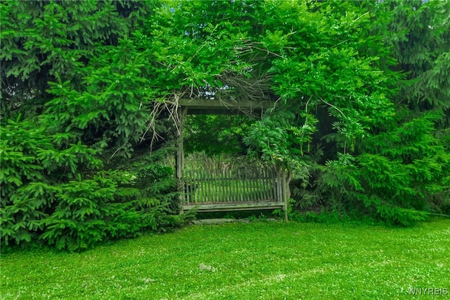 1520 Davis Rd, Aurora, NY 14170 - view of grassy yard