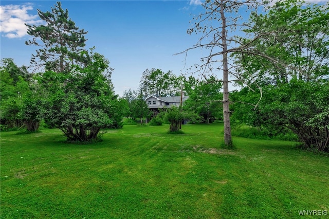 1520 Davis Rd, Aurora, NY 14170 - view of grassy yard
