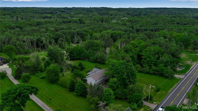 1520 Davis Rd, Aurora, NY 14170 - view of property location featuring a heavily wooded area
