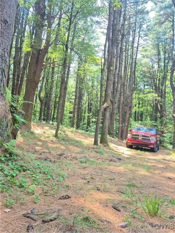 302 Dutcherville Rd, Constantia, NY 13044 - photo 3