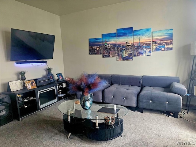 209 W Ferry St Unit S, Buffalo, NY 14213 - living room featuring carpet