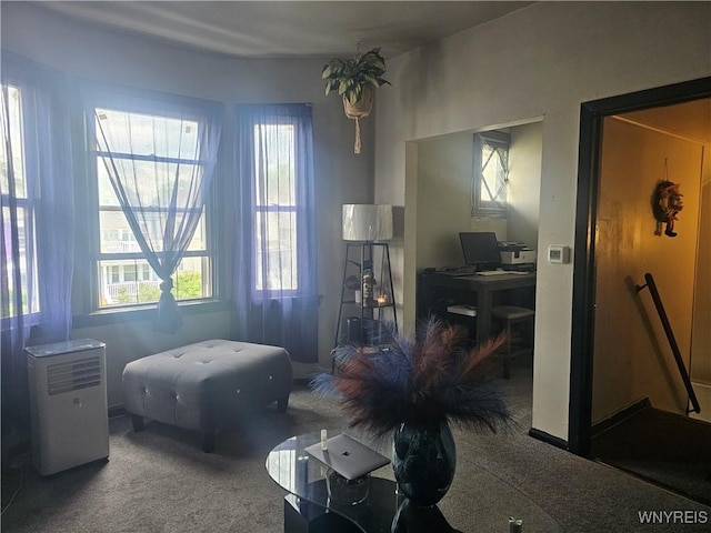 209 W Ferry St Unit S, Buffalo, NY 14213 - bedroom with carpet, multiple windows, and a desk