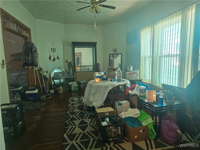 209 W Ferry St Unit S, Buffalo, NY 14213 - bedroom featuring wood finished floors and multiple windows