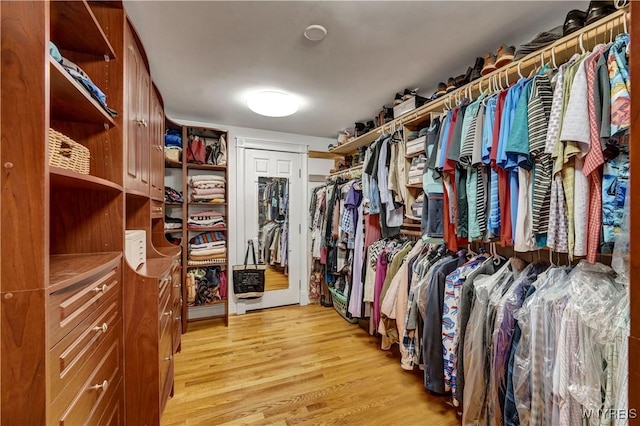 57 Middlebury Rd, Orchard Park, NY 14127 - spacious closet with light wood-style floors
