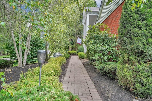 57 Middlebury Rd, Orchard Park, NY 14127 - view of yard
